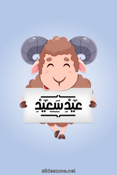 صورة للمشاركة
