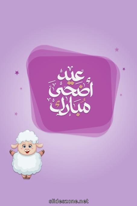 صورة للمشاركة