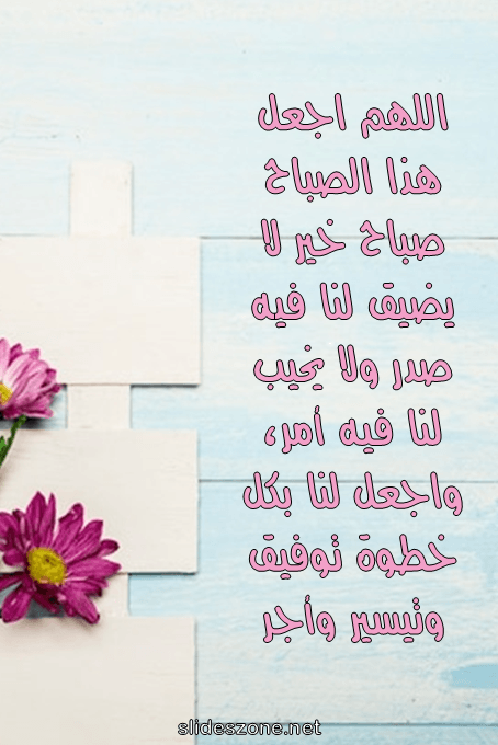 صورة للمشاركة