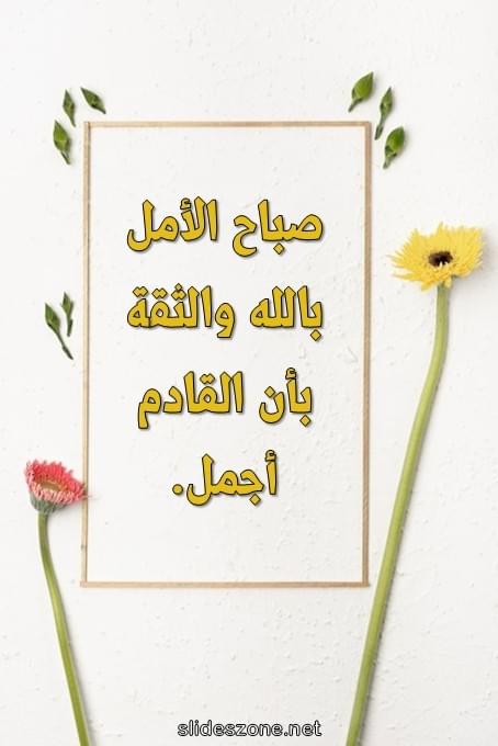 صورة للمشاركة