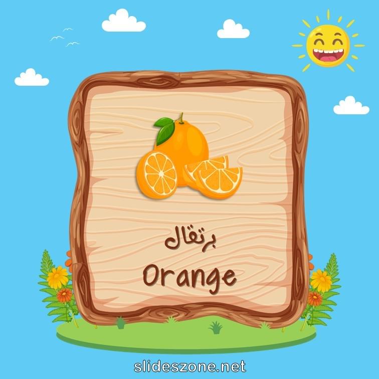 صورة تعليمية فلاش