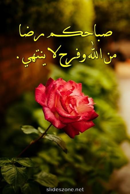 صورة للمشاركة