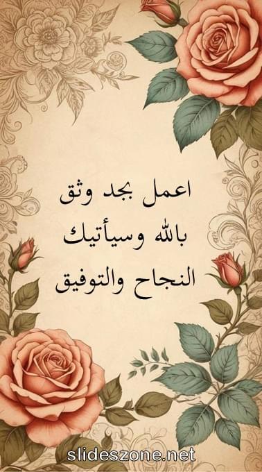 صورة للمشاركة