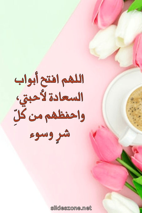 صورة للمشاركة