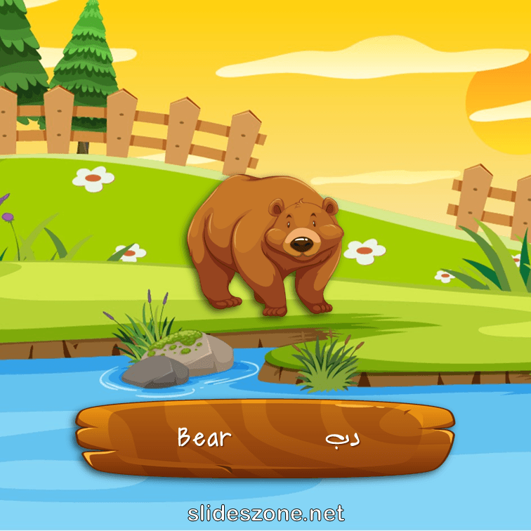 صورة تعليمية فلاش