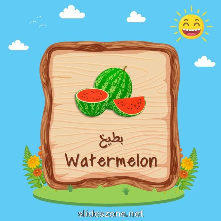 صورة تعليمية فلاش