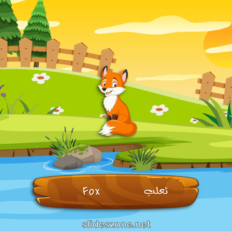 صورة تعليمية فلاش