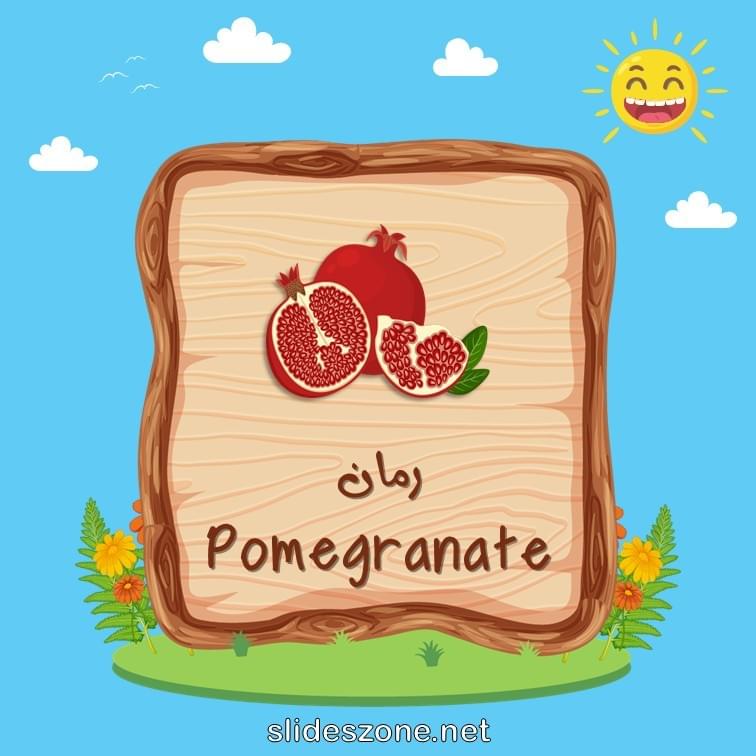 صورة تعليمية فلاش