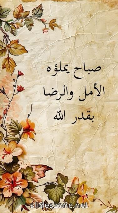 صورة للمشاركة