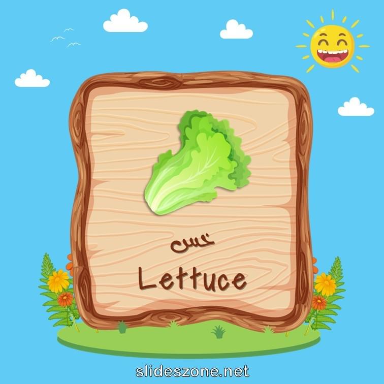 صورة تعليمية فلاش