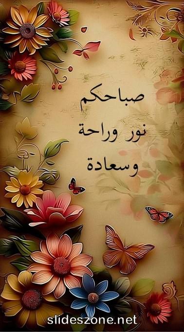 صورة للمشاركة