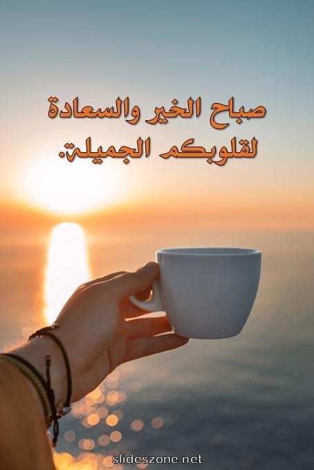 صورة للمشاركة