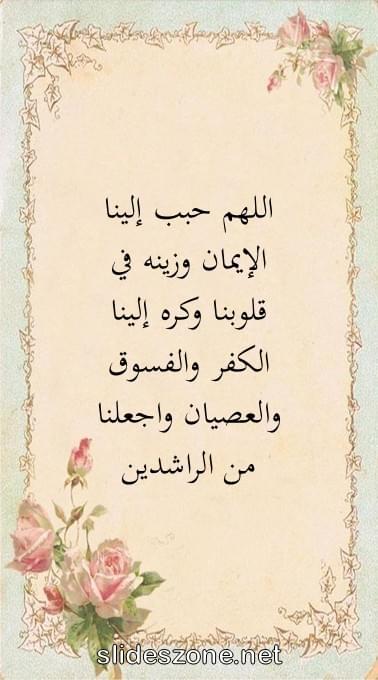 صورة للمشاركة