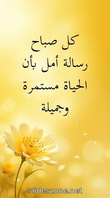 صورة للمشاركة