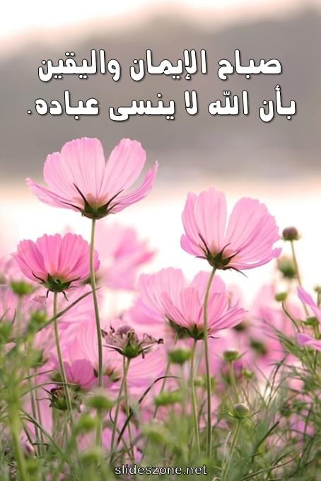 صورة للمشاركة