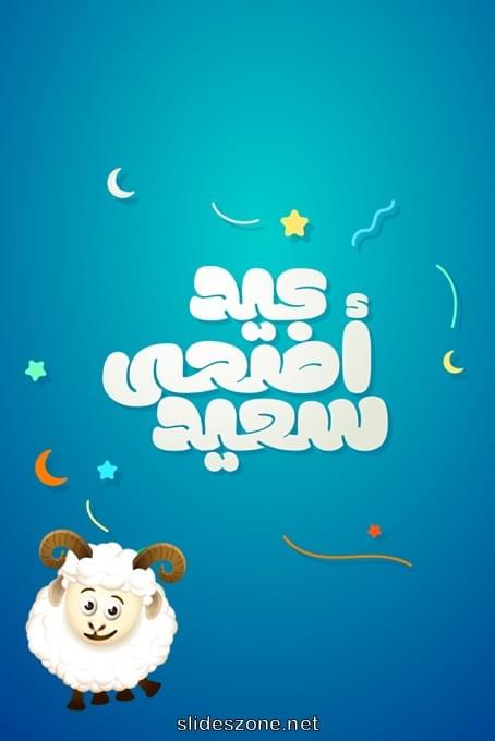 صورة للمشاركة