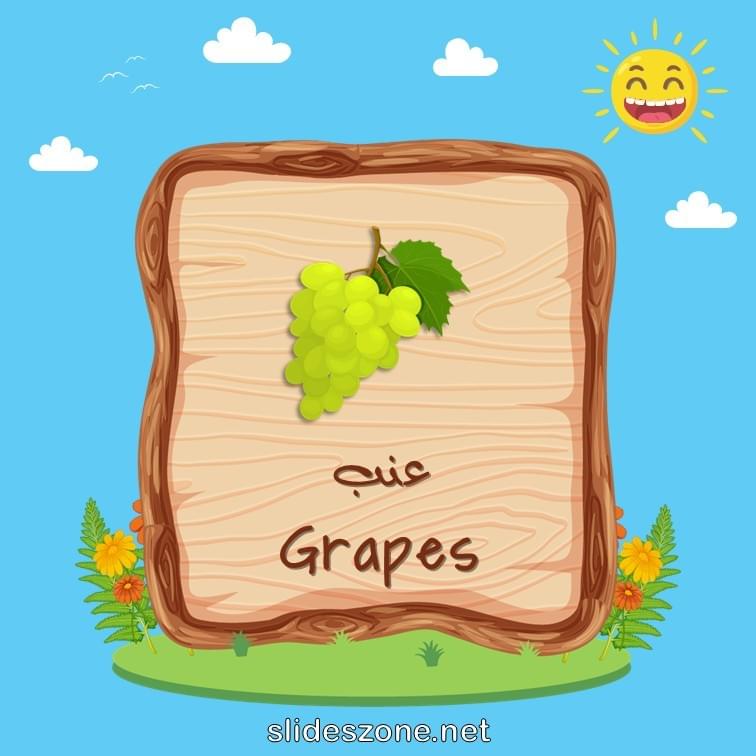 صورة تعليمية فلاش