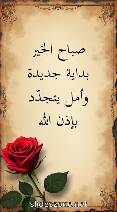 صورة للمشاركة