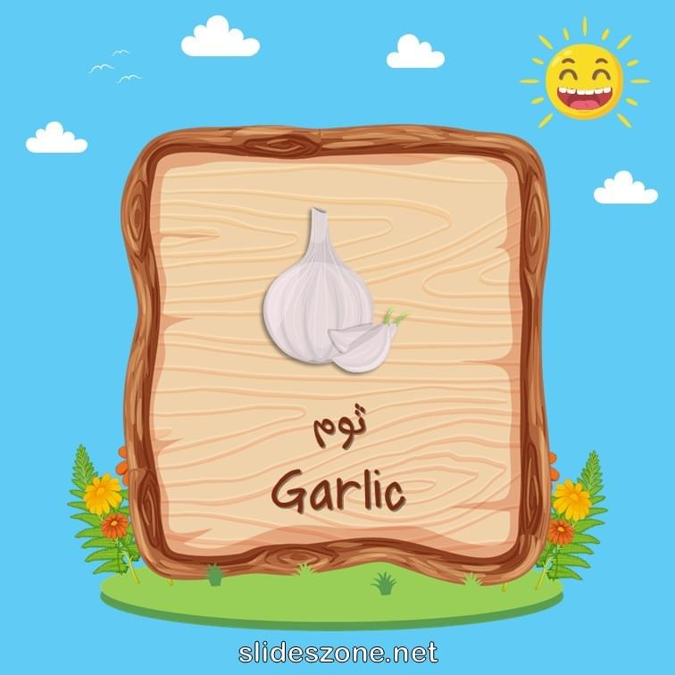 صورة تعليمية فلاش