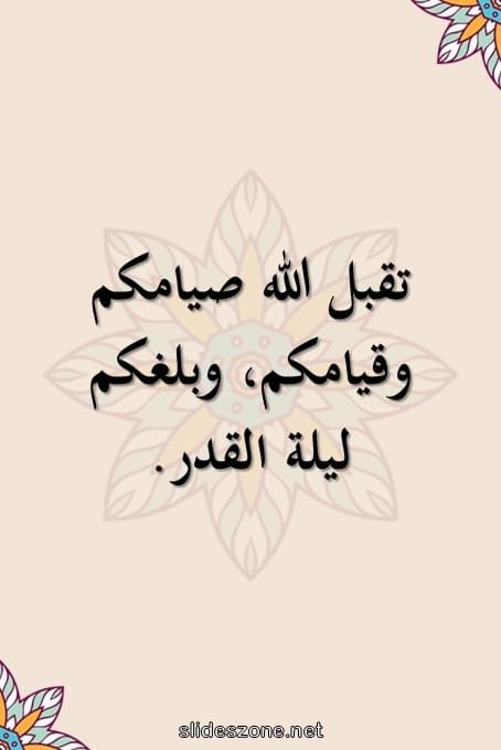 صورة للمشاركة