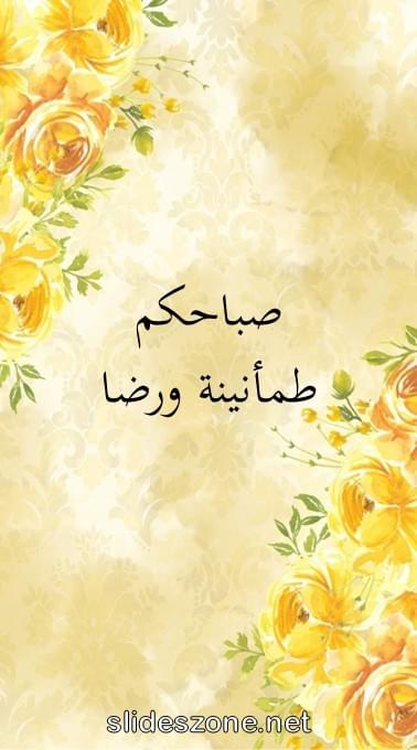 صورة للمشاركة
