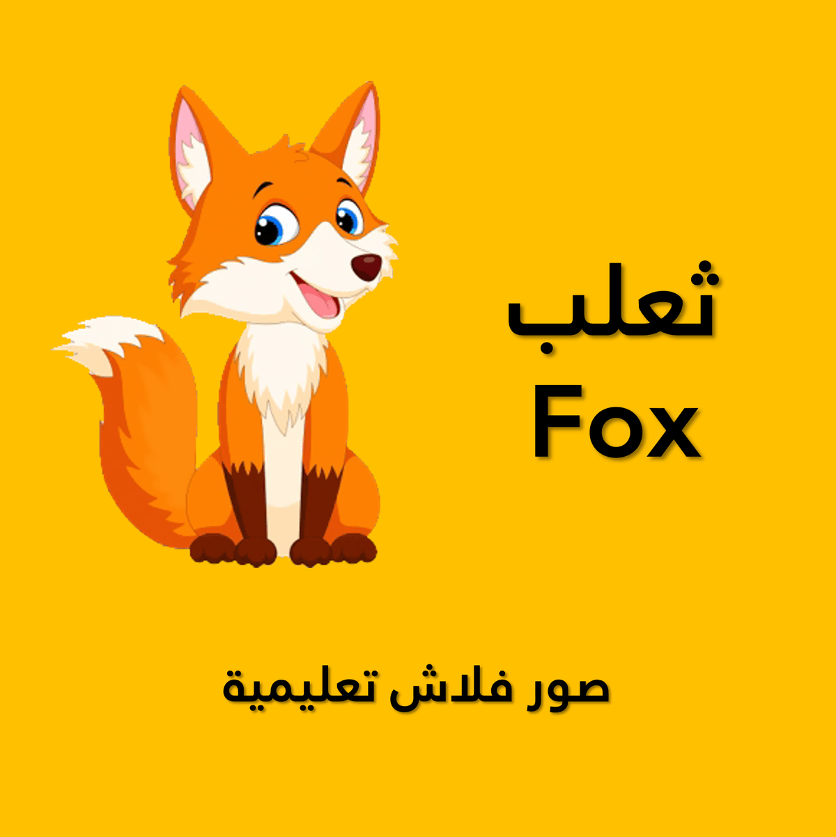 صور حيوانات