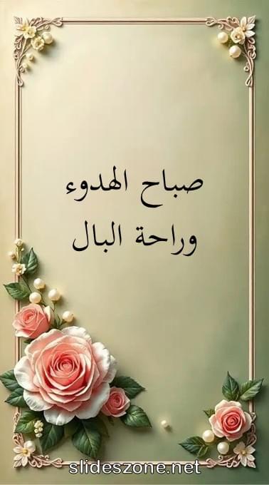 صورة للمشاركة