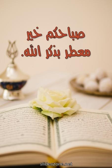 صورة للمشاركة