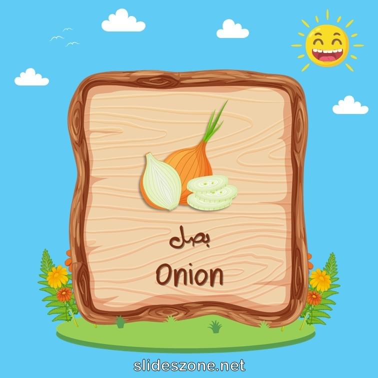 صورة تعليمية فلاش