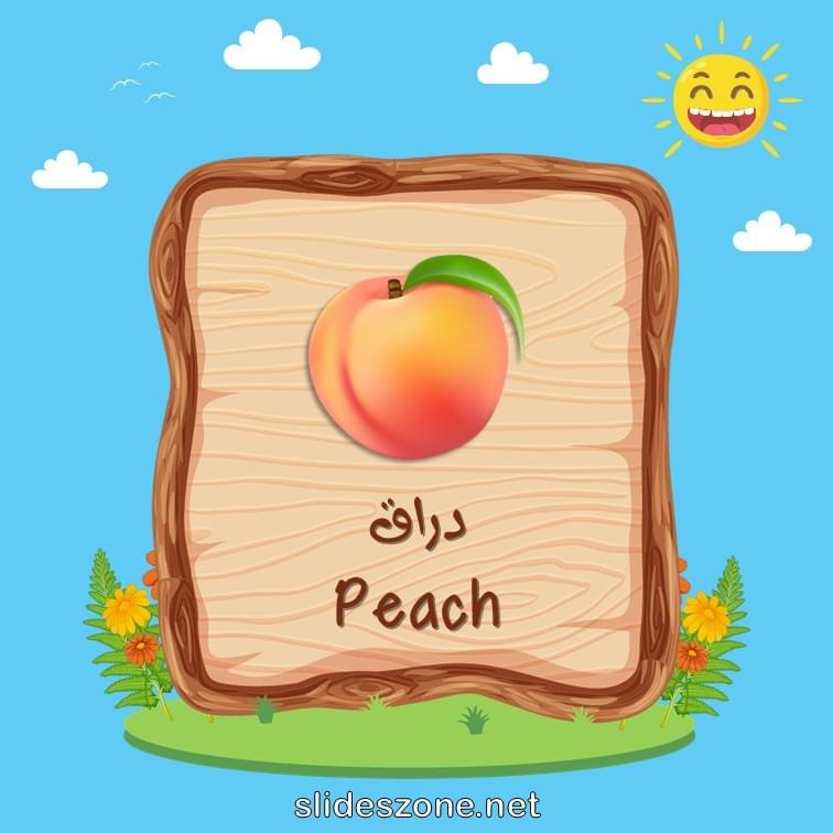 صورة تعليمية فلاش