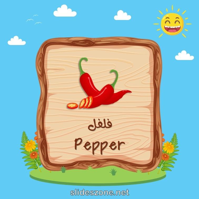 صورة تعليمية فلاش