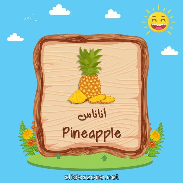 صورة تعليمية فلاش