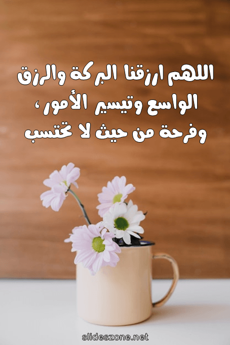 صورة للمشاركة