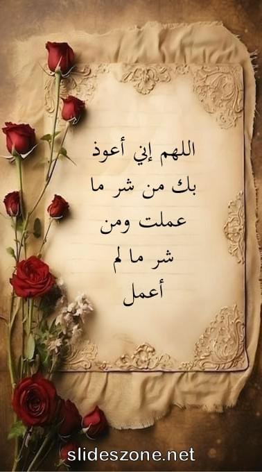 صورة للمشاركة