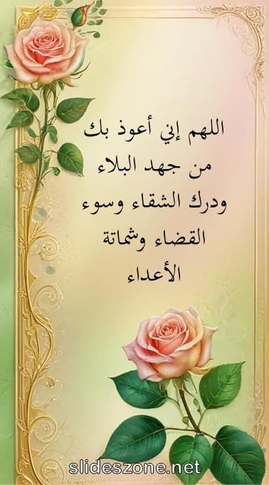 صورة للمشاركة