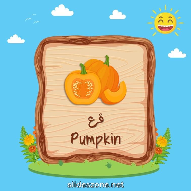 صورة تعليمية فلاش