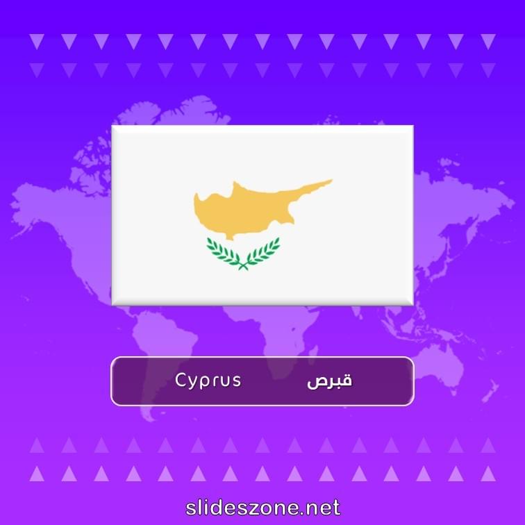 صورة تعليمية فلاش