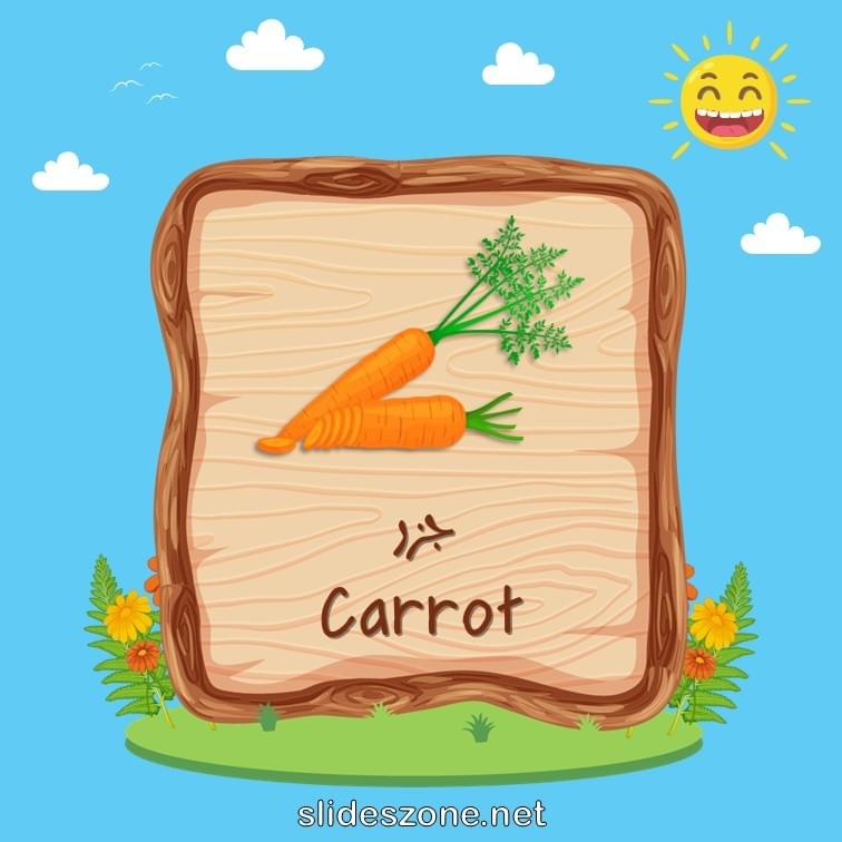 صورة تعليمية فلاش