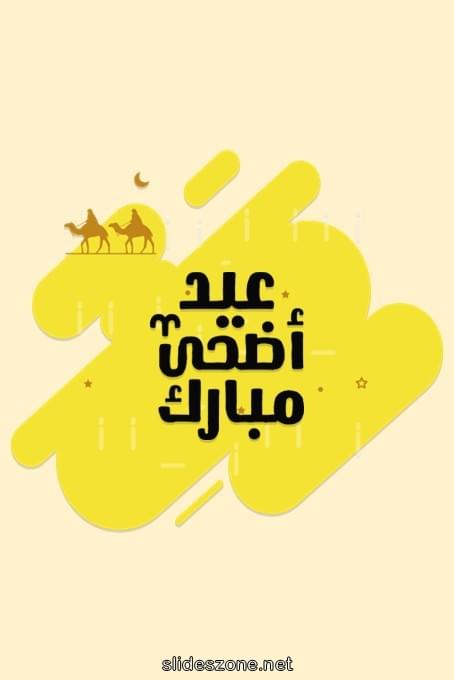 صورة للمشاركة