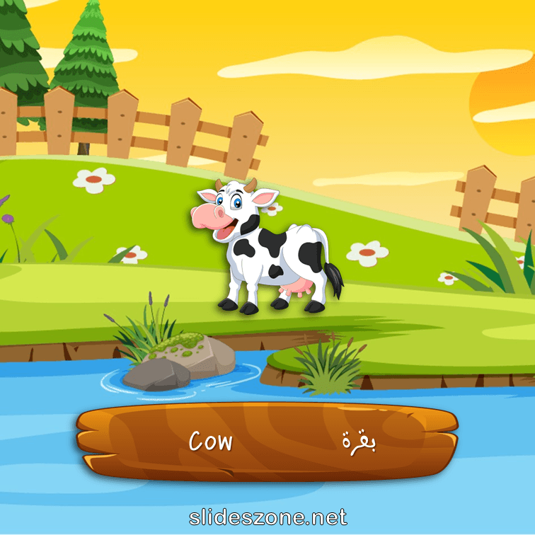 صورة تعليمية فلاش