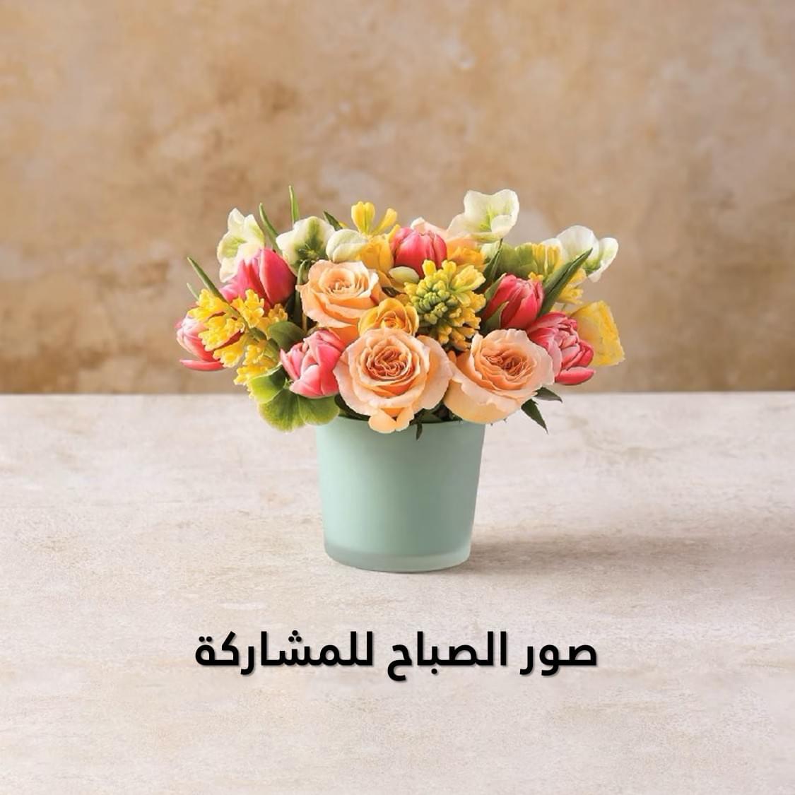 صور الصباح للمشاركة