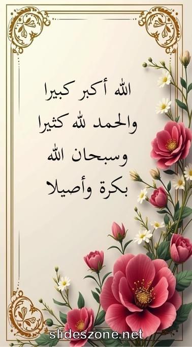 صورة للمشاركة