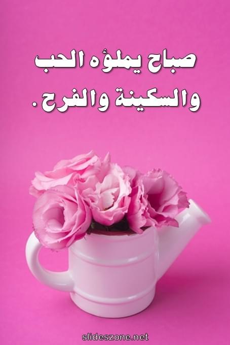 صورة للمشاركة