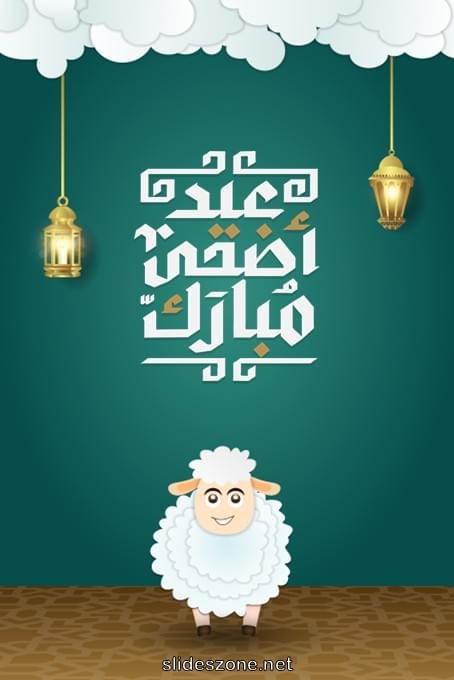 صورة للمشاركة