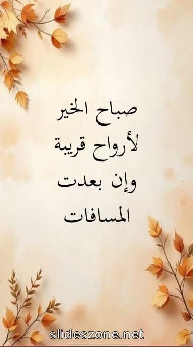 صورة للمشاركة