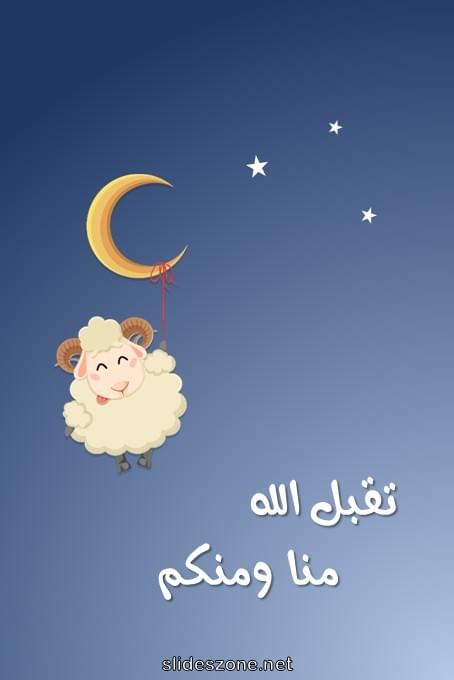 صورة للمشاركة