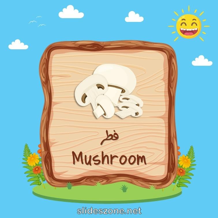 صورة تعليمية فلاش