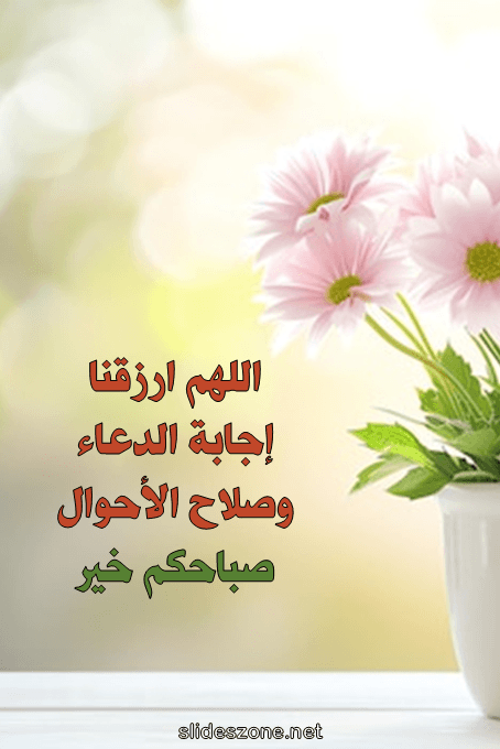 صورة للمشاركة