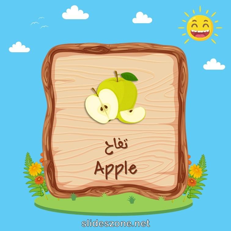 صورة تعليمية فلاش