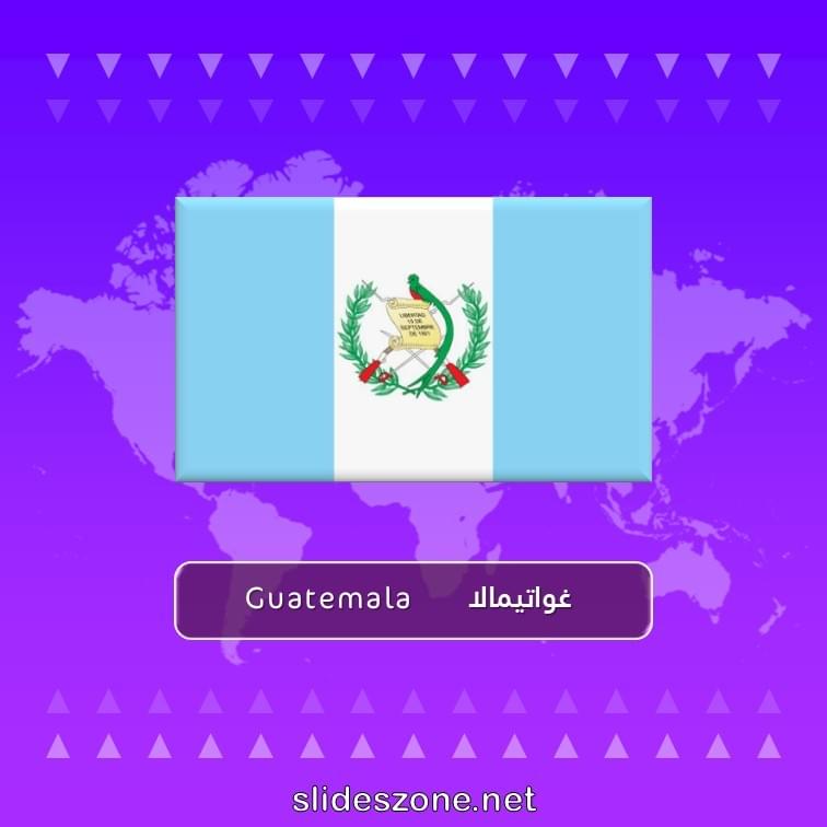 صورة تعليمية فلاش